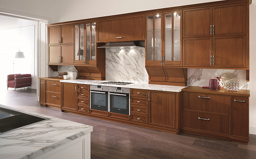 Коричневая кухня Aster cucine Avenue 3